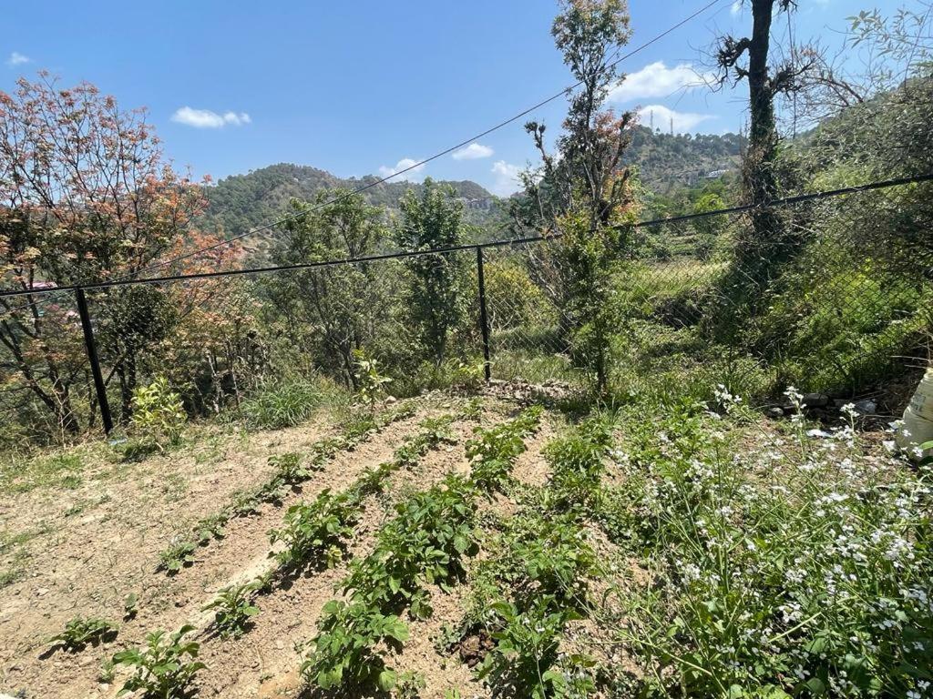 Idyllic Private Cottage W/King Bed + Mountain View 卡绍利 外观 照片